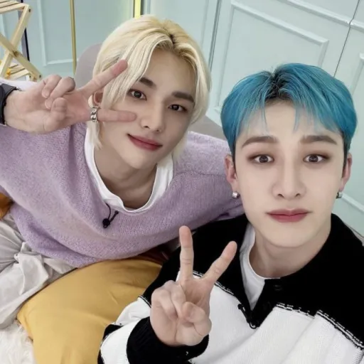 creator straykids4life♥️'s avatar