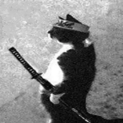 creator gato samurai's avatar