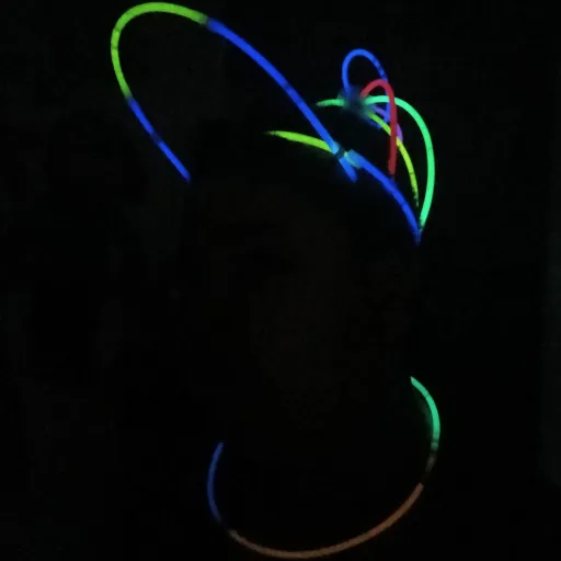 creator Fredy.Wasaaa's avatar