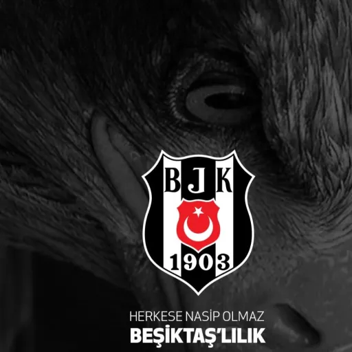 creator besiktas's avatar