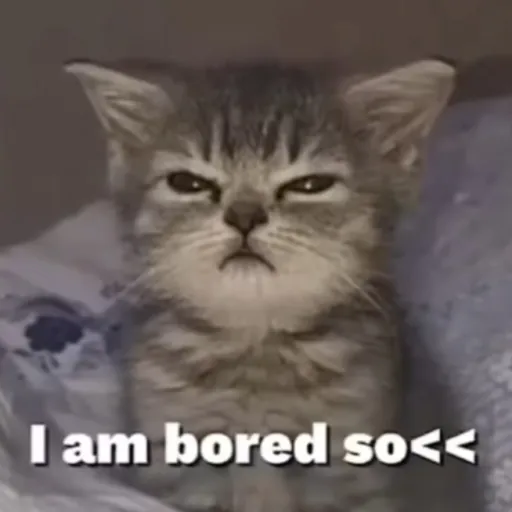 creator SleepyCat_'s avatar