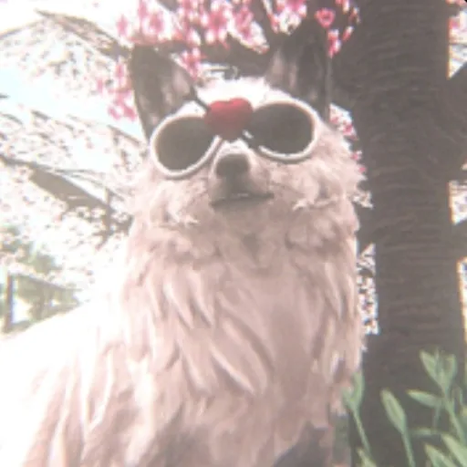 creator . Ami . (ФωФ)<3's avatar