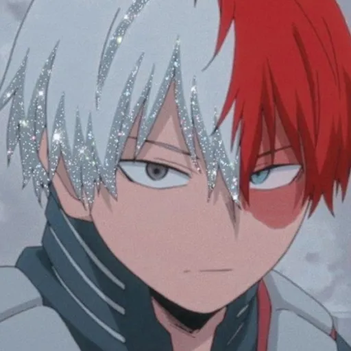 creator shoto todor♂️ki's avatar