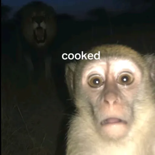 creator SMCFANNNN's avatar