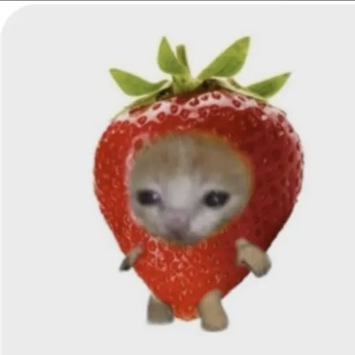 creator ~★ℬeℛℛy★~'s avatar