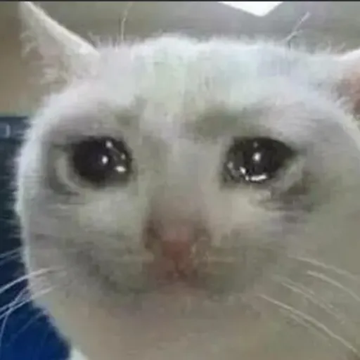 creator Sad_Cat098's avatar