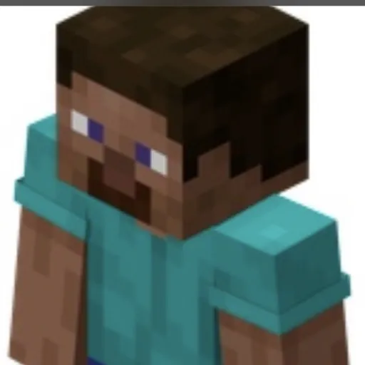 creator your local Steve's avatar