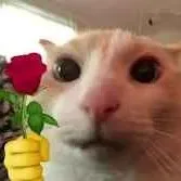 creator Catalreadyexists's avatar