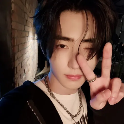 creator vanilla.sunghoon.'s avatar