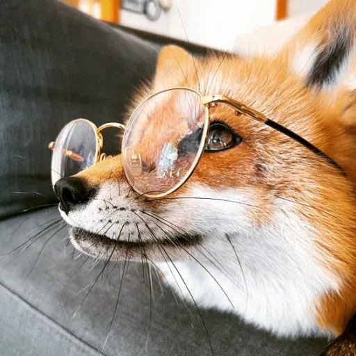 creator theefoxer's avatar