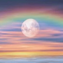 creator ✨ Moonbow ✨'s avatar