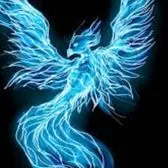 creator Phoenix and misty's avatar
