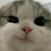 creator Whos_Cat:)'s avatar