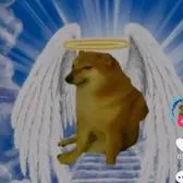 creator RIP chemms 😞's avatar