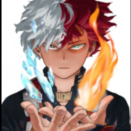 creator ❤️•Todoroki•💙's avatar