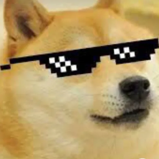 creator el perrito insano😎's avatar