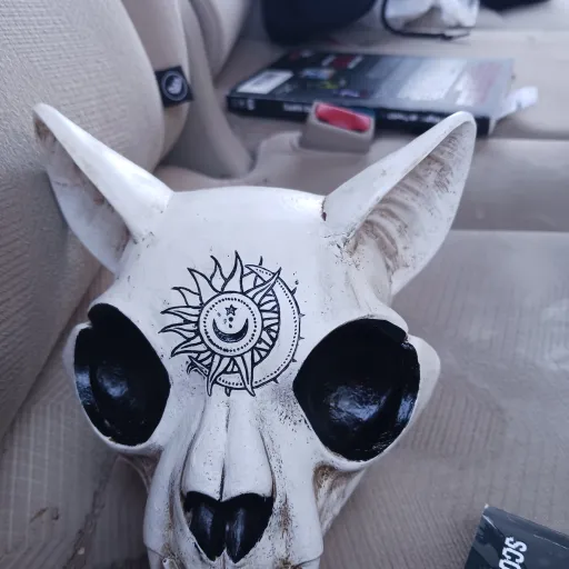 creator darksculls's avatar