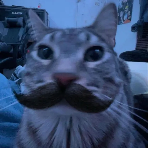 creator TheAmazingpebbler's avatar