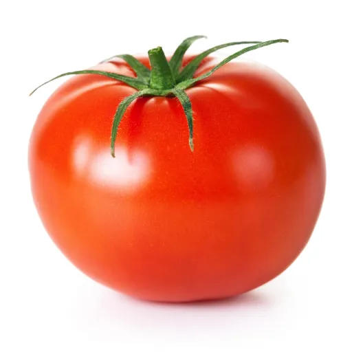 creator tomato_444's avatar