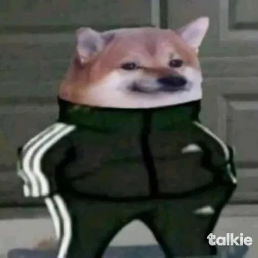 comment user avatar