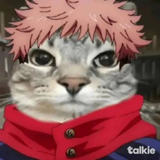creator momazos XD (: ⁹⁹⁹⁹'s avatar