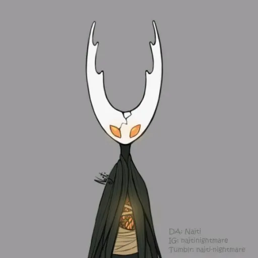 creator Hollow knight🌘&🌒's avatar