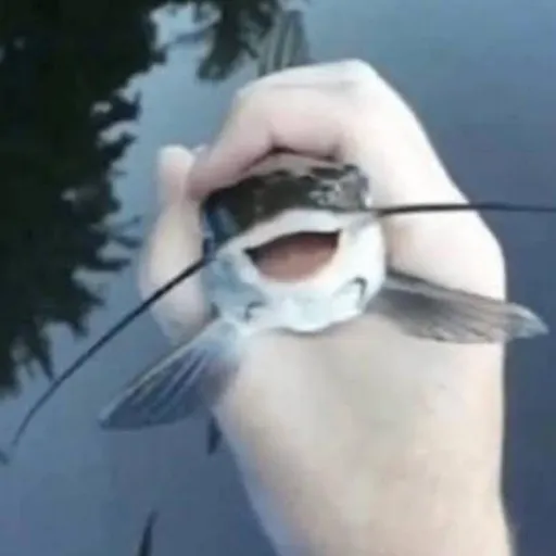 creator -🌙⭐️§ləeppy!⭐️🌙-'s avatar