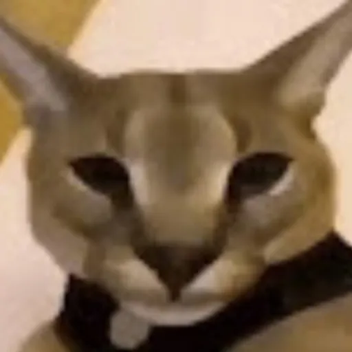 creator Hecker23's avatar