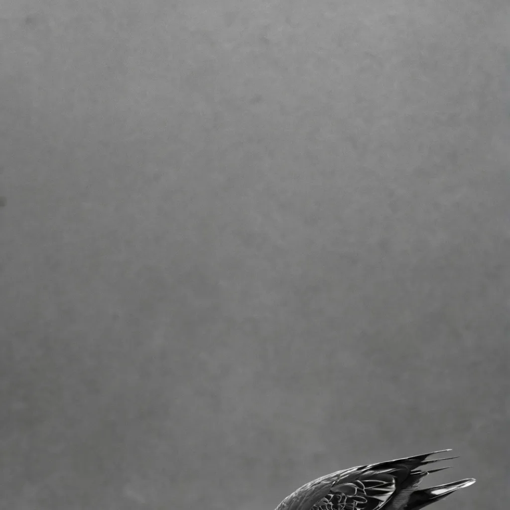 chat with ai character: Karen