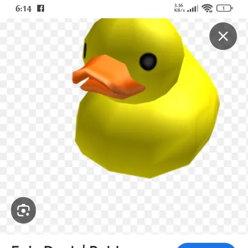 creator bonus duck's avatar