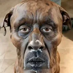 creator Definite_not_dog's avatar