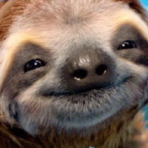 creator The Sloth........'s avatar