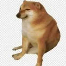 creator perrito Juancho's avatar
