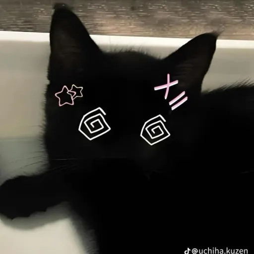 creator 𖤐ᥲgᥲr ᥲgᥲr ᥴ᥆᥆kіᥱ𖤐's avatar
