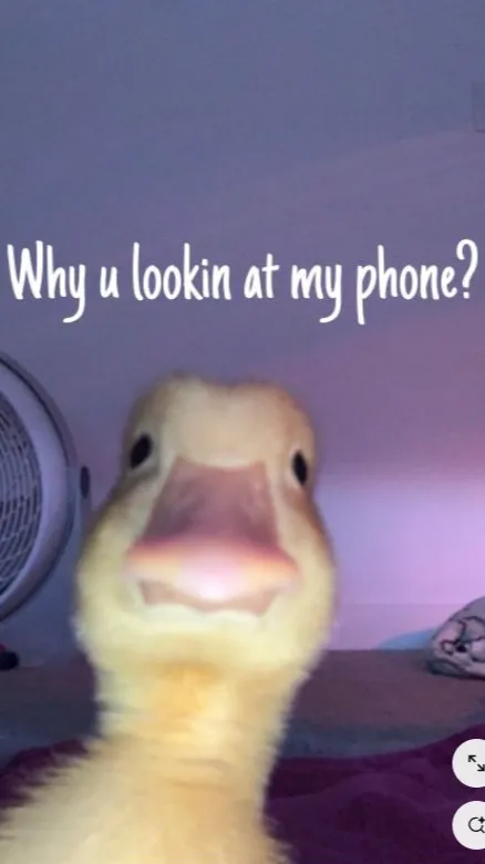 ai character: fpe phone chat background