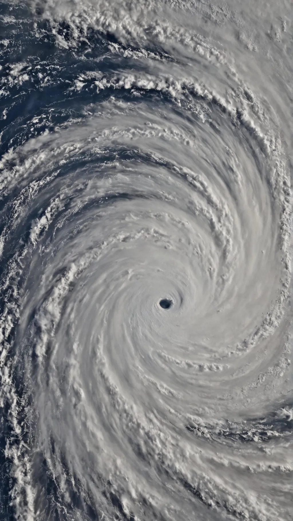 ai character: Hurricane  background