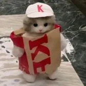 creator 𝓜𝓮𝓵𝓸𝓭𝔂 _ 𝓴𝓾𝓻𝓸𝓶𝓲's avatar