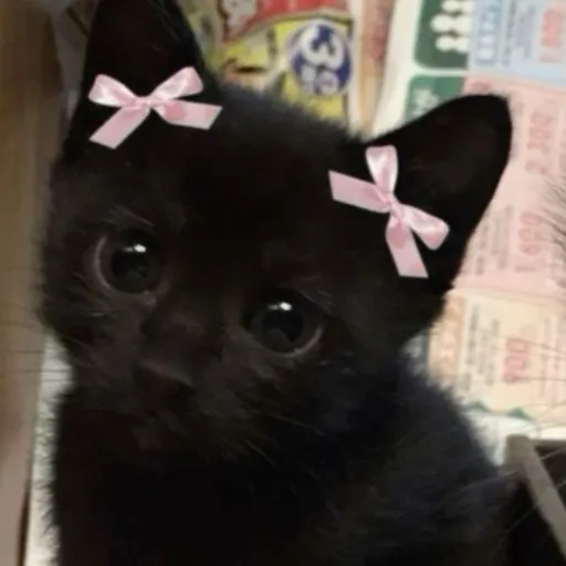 creator Elie sparkle's avatar