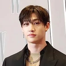 creator ☆•Bangchan•☆'s avatar