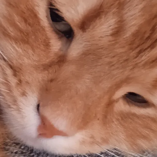 creator agust sleepon's avatar