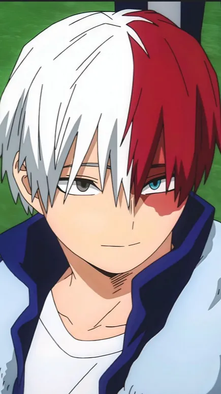 ai character: shoto x y/n background