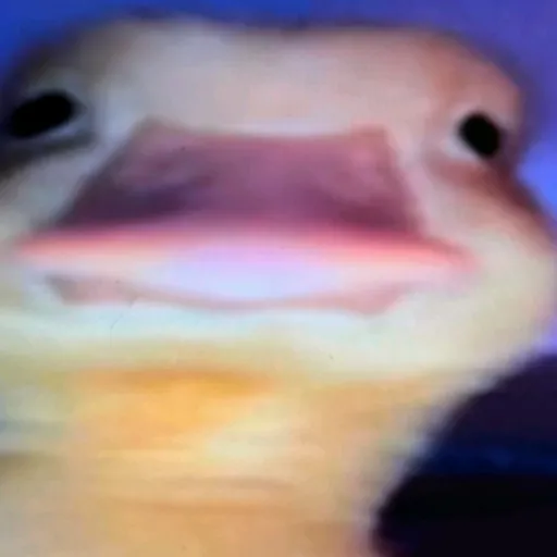 creator crococat1234's avatar