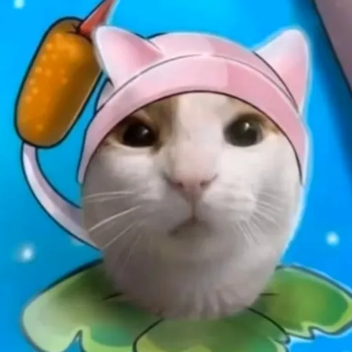 creator ᨒ Makoto ᨒ's avatar
