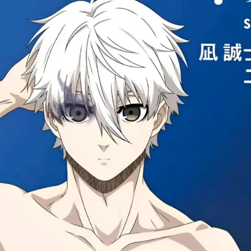 creator Nagi seishiro•_•'s avatar