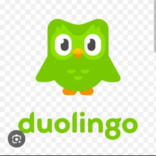 creator DUOLINGO.. .. . .'s avatar