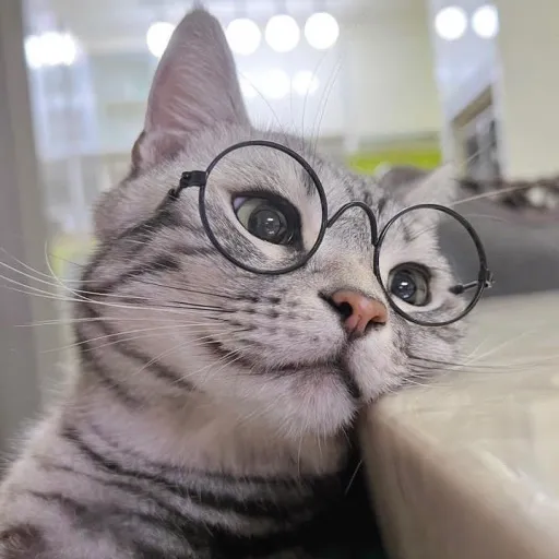 creator ᴋᴀɪᴛᴏ.'s avatar