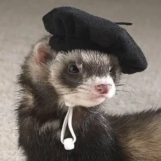 talkie's author avatar