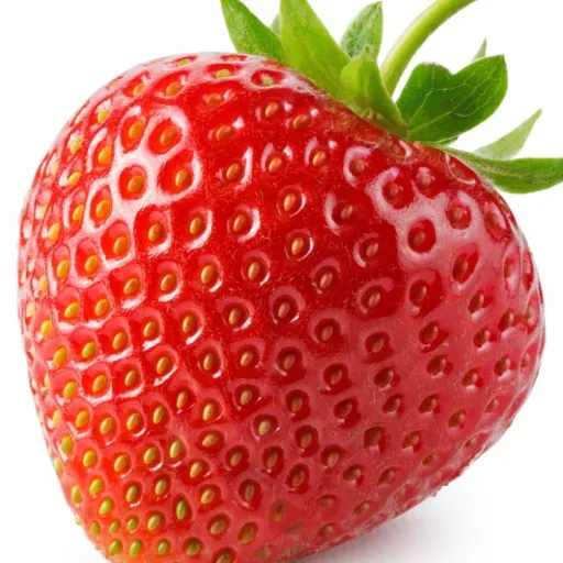 creator A Very Sweet Berry's avatar
