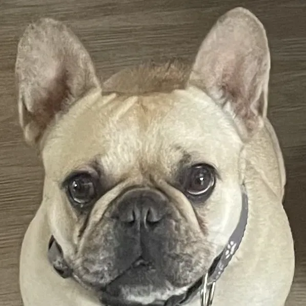 chat with ai character: Camilla