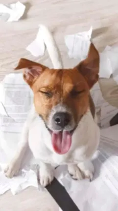 ai character: Dog eats homework background